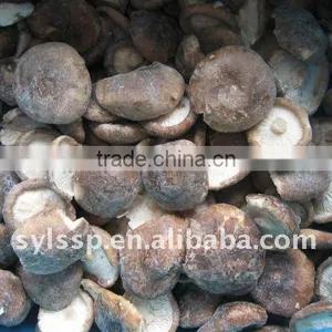 Quick Frozen Shiitake Mushroom(IQF) thumbnail-1