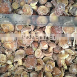 IQF Suillus Granulatus thumbnail-1