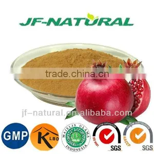 100% Natural Pomegranate Juice Powder ISO, GMP, HACCP, KOSHER, HALAL Certificated. thumbnail-1