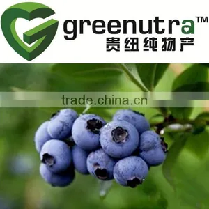 Blueberry Extract Anthocyanins thumbnail-1