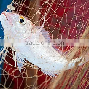Multifilament Fishing Nets thumbnail-1