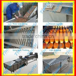 Egg Breaking and Separating Machine 8000pcs/h on Bakery Exhibition +86-133-3371-9169 thumbnail-1
