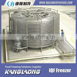 2000Kg/H Spiral IQF Freezer 1000 Made In China thumbnail-1