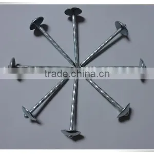 2 Inch Umbrella Head Roofing Nail Twisted Shank Roofing Nail With Factory Price thumbnail-2