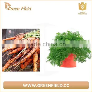 High Quality Breathable Black Garden Vegetables Flower Grow Bag thumbnail-1