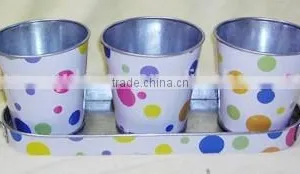 Outdoor Indoor Seed Planter and Pot thumbnail-2