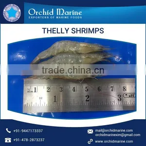 2017 Most Selling Organic and Pure Thelly Shrimps Available for Wholesale Purchase thumbnail-3