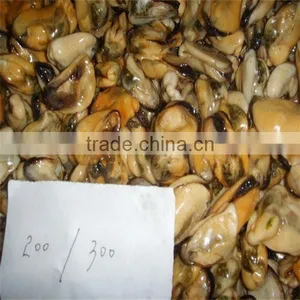 Frozen Cooked and Live Mussels thumbnail-1