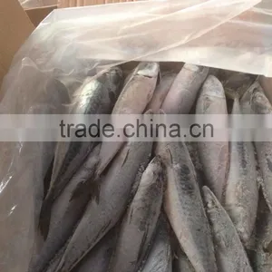 150-200g , Seafrozen Pacific Mackerel , 15kg Ctn thumbnail-3