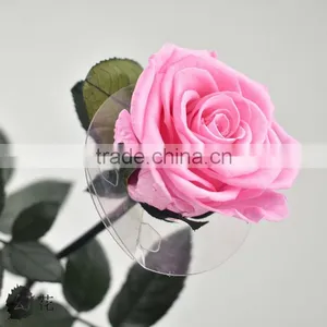 Hot Selling Valentine's Gift Real Floral Long Lasting Natural Preserved Flower Roses thumbnail-5