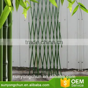 Hot Rural Style Bamboo Raw Materials Green Garden Chinese Bamboo Canes thumbnail-3