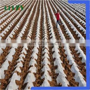 Quick Delivery Pla Biodegradable Material With Good Quality thumbnail-5