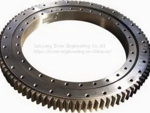 Rks. 302070202001 Slewing Drive Slewing Bearing for Truck Mounted Crane thumbnail-4