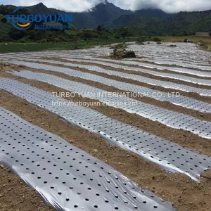 Black Plastic Mulching Film Price for Agriculture thumbnail-5