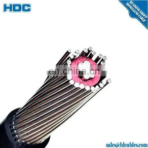 Aluminum(Aluminium Alloy-8000) ASTM B801 Concentric Cable XLPE/HDPE Insulated 2*10+10mm2 50A 600V for South America thumbnail-4