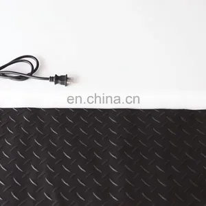 High Quality Twin Conductor Heating Mat For Outdoor Snow or Roof Melting thumbnail-1