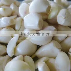 2016 New Crop Peeled Fresh Garlic Clove thumbnail-2