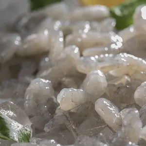 2021 New Product Fresh Whiteshrimp Prawns Natural Frozen Vannamei Shrimp thumbnail-3