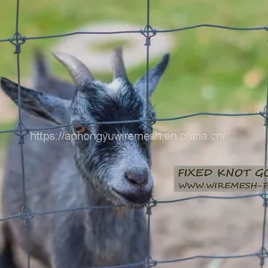 Farm Fence Field Fence Goat Cattle Deer Stock Fencing Grassland Hinge Joint Fixed Knot Fence High Tensile Strenght thumbnail-1
