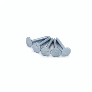 OEM Roofing Clout Nails - Galvanized Finish, 1kg or 25kg Packaging Options thumbnail-1