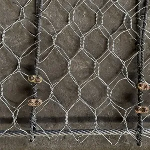 Galvanized Double Twist Steel Mesh Grid Structure Reinforced Mesh for Coastal Rockfall Protection Netting Factory Direct thumbnail-6