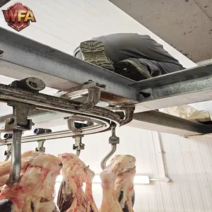 Sheep Slaughterhouse Equipment Complete Goat Abattoir Processing Line Halal Slaughter Machine thumbnail-2