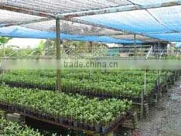 Non Woven Landscape Fabric Manufacturer thumbnail-5