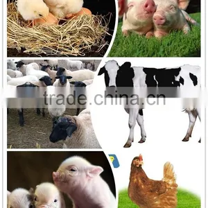 Special Beneficial Bacteria for Fermentation Bed thumbnail-2