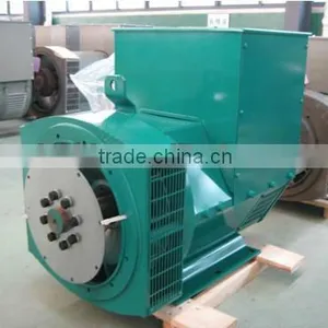 Notes Here! 300kw TFW Brushless Generator India Price thumbnail-1