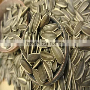 High Quality Raw Sunflower Seeds for Oil Price thumbnail-3