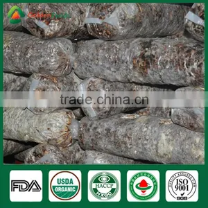 Mushroom Seller Agricultural Products Vegeatable Fresh Dried Shiitake Mushroom Log Shiitake Mushroom Spawn for Mushroom Farm thumbnail-4