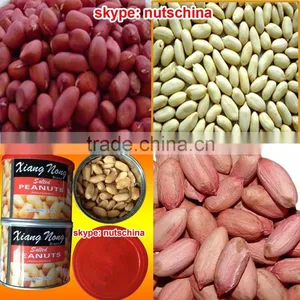 Chinese Blanched Peanut Kernels 25/29 (VIRGINIA TYPE) thumbnail-1