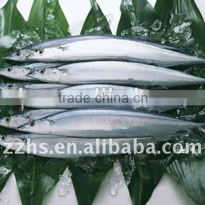 Canned Sardine Fish in Oil Club Can thumbnail-1