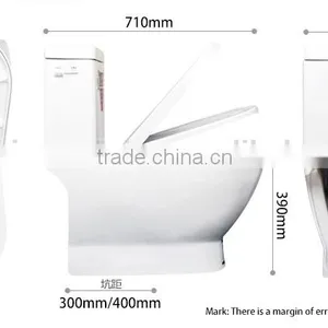Dennis 2086 White Color One Piece Vitreous China Toilets thumbnail-2