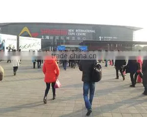 Hebei Longcheng Motor Vehicle Parts Co., Ltd. company overview - view 1 thumbnail