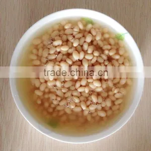 HOT SALE Canned White Kidney Beans thumbnail-1