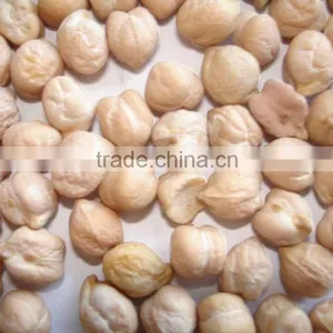 Chickpea thumbnail-1