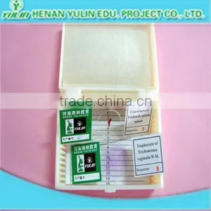 Glass Slides Box/prepared Slides Box thumbnail-1