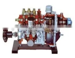 Anatomical Vacuum Control Injection Pump Dissection Model Educational Equipment thumbnail-1