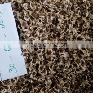 MORINGA SEEDS FOR MORINGA OIL thumbnail-2