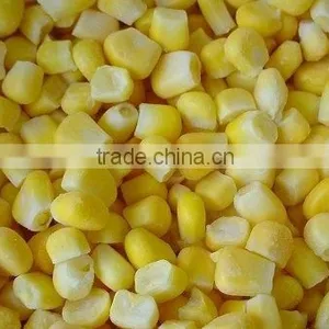 IQF Sweet Corn Grain thumbnail-1