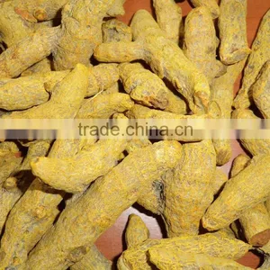 Indian Raw Dried Turmeric Finger Available thumbnail-6