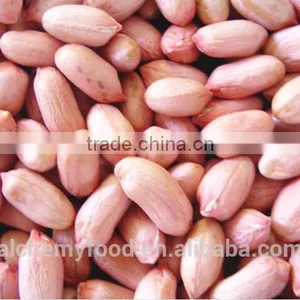 Supplier of Peanuts Kernel and Peanuts Kernel Buyer From All Over the World thumbnail-2