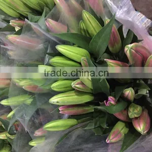 Fresh Cut Flowers Multi Stem Lily Flowers thumbnail-2