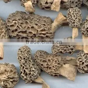 Organic Morels Conica Mushroom Dried Morel thumbnail-3