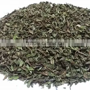 Spearmint Leaves thumbnail-1