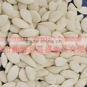 Roasted and Salted SNOW WHITE PUMPKIN SEEDS thumbnail-5