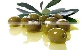 High Quality Product of Olive Oil thumbnail-1