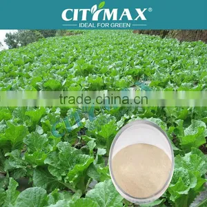 Import Amino Acid Powder thumbnail-1