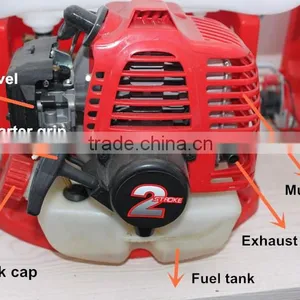 50L Gasoline Engine Powered Garden Sprayer With Long Hose Agricultural Gasoline Sprayer thumbnail-6